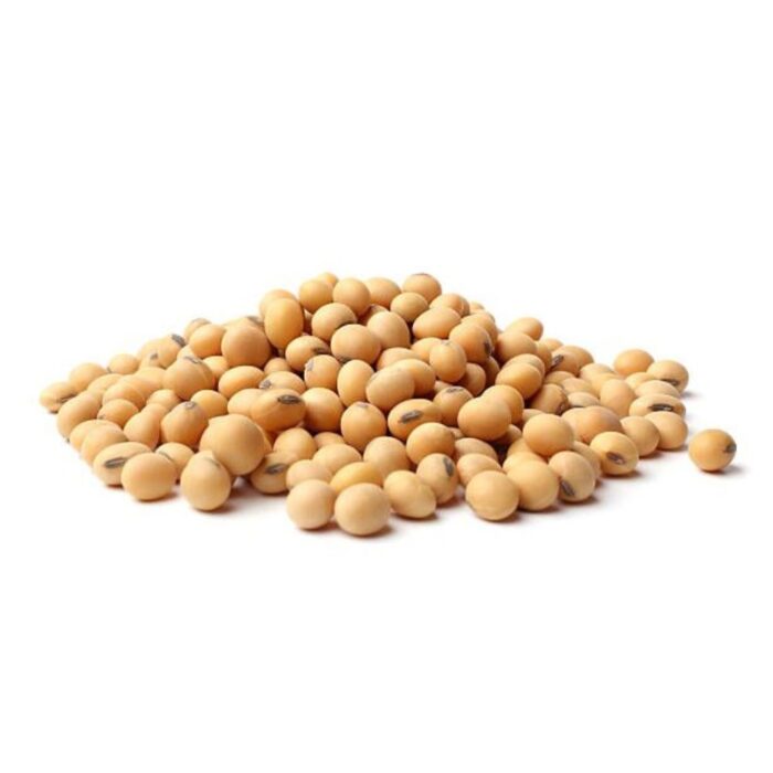 Soybean Seeds