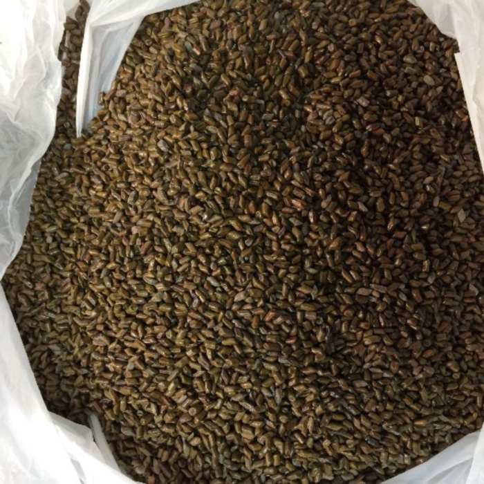 Cassia Tora Seeds