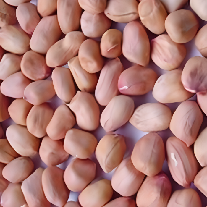 Groundnut Seeds